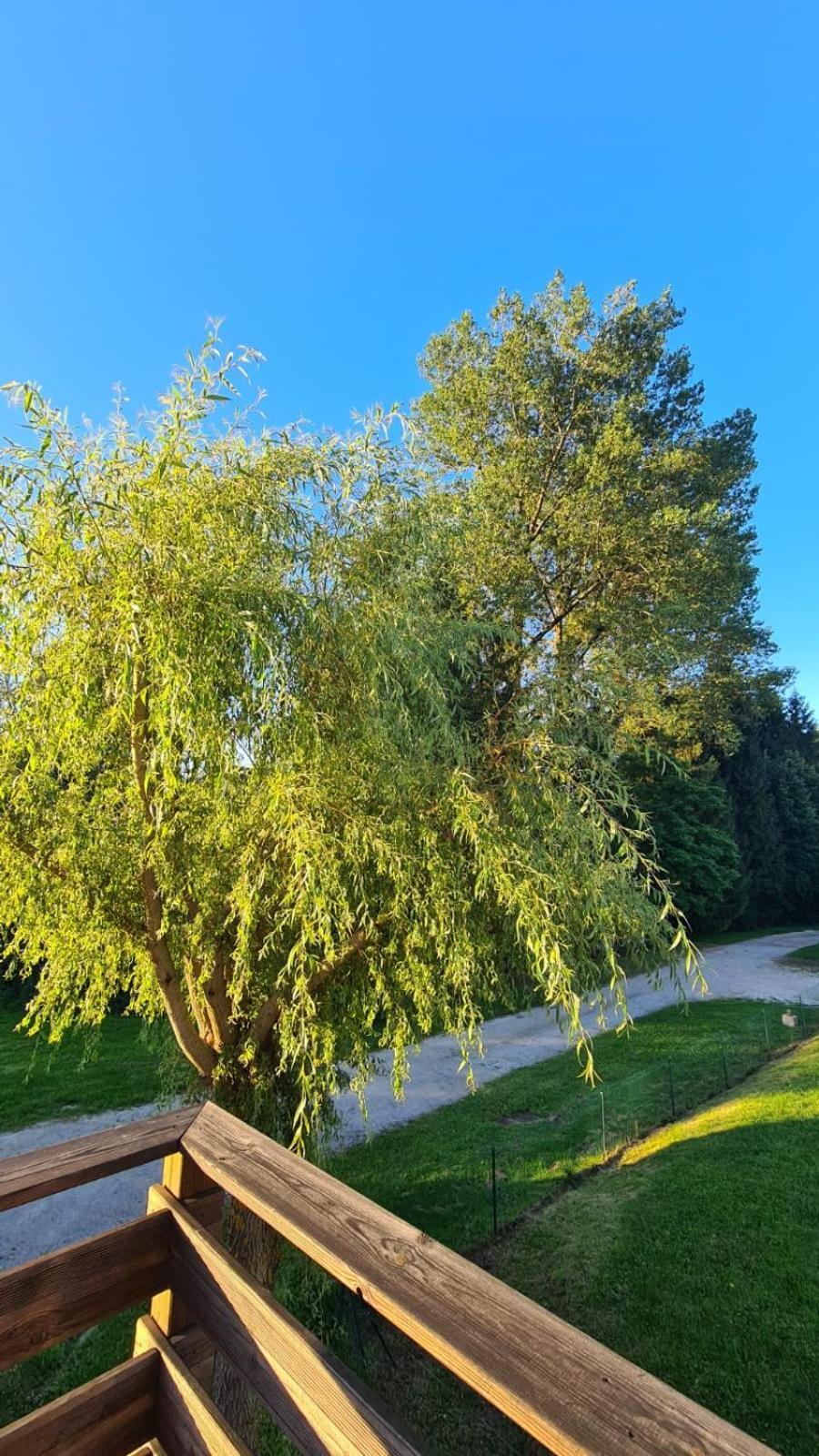 Ferienwohnung Sous Le Saule Nods Exterior foto